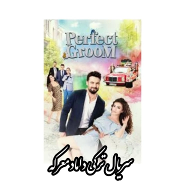 سریال داماد شاهانه
